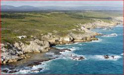 https://www.nature-reserve.co.za/images/de-hoop-coastline-786x500.jpg