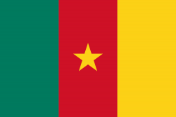 Flag of Cameroon