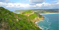 https://www.plett-tourism.co.za/wp-content/uploads/2014/02/151-JacquiDoddsBodley.jpg