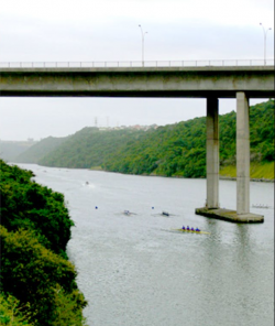 Steve Biko Bridge