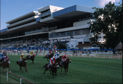 Turffontein Race Course  https://www.sa-venues.com/attractions/gallery/gauteng/459/1.jpg