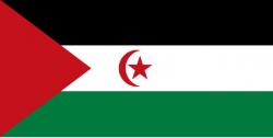 https://flagpedia.net/western-sahara