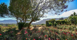 https://www.capetown.travel/wp-content/uploads/Wynberg-chart-farm.jpg